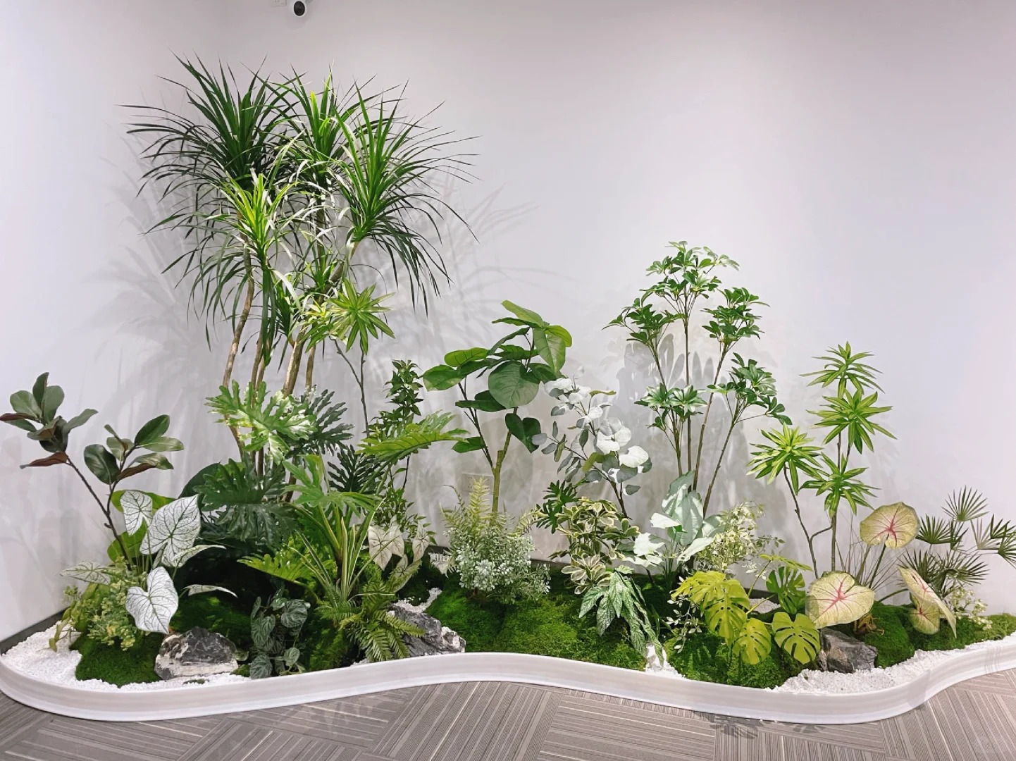 专业镇海植物租摆,为您打造别具一格的空间